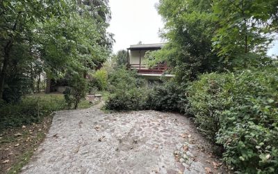 Akarattya vízközeli